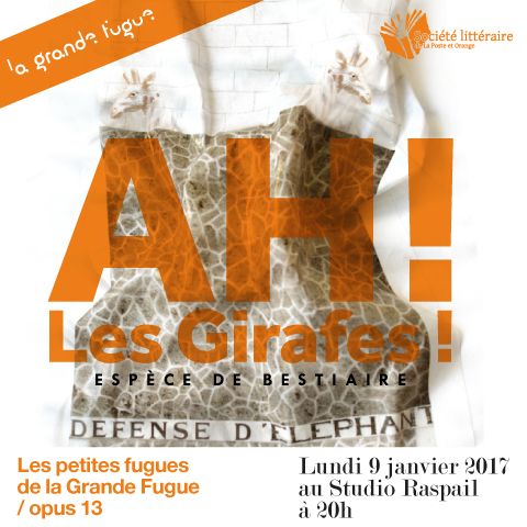 Ah les Girafes !