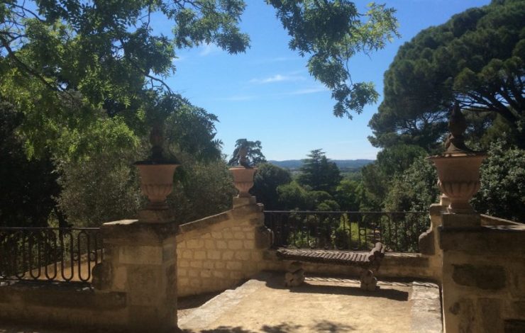 À la découverte du Roi Pinard 1er, Roi de Clos-Vougi