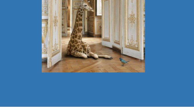 Ah les Girafes !